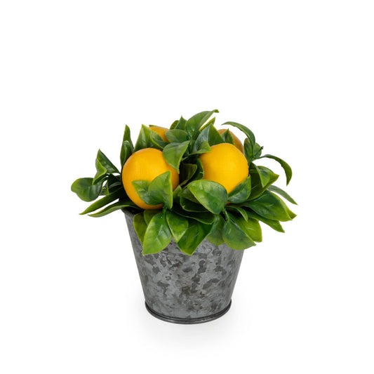 Mini Citrus Oranges In A Tin