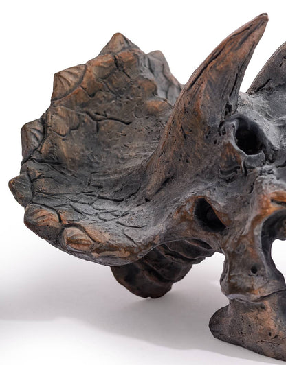 Triceratops Skull Table Decor