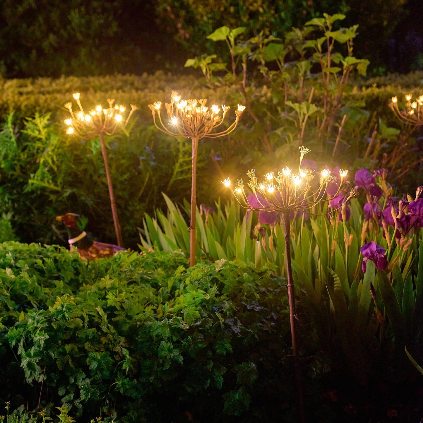 Wild Fennel Garden Feature Light