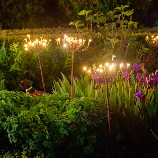 Wild Fennel Garden Feature Light