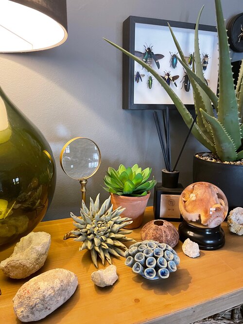 Bird Leg Magnifying Glass - Bronze