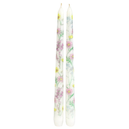 Meadow Taper Dinner Candles - 2 Pack