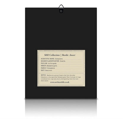 Framed Hand Embroidered Beaded Spotty Beetle