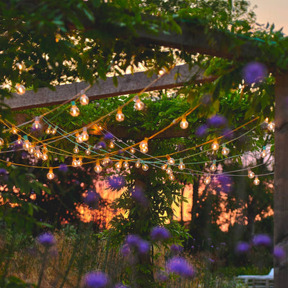 Sunshine Yellow Festoon Lights