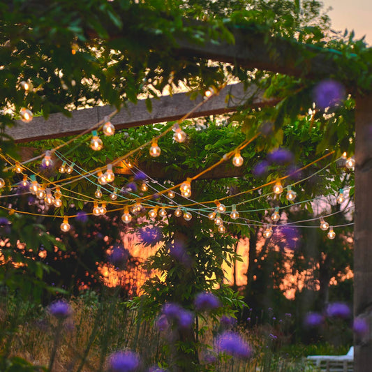 Sunshine Yellow Festoon Lights