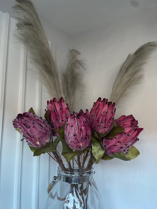 Grey Reed - 6 Stems