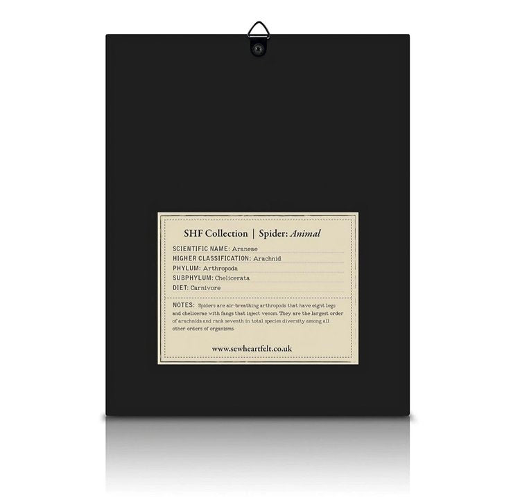 Framed Hand Embroidered Beaded Spider