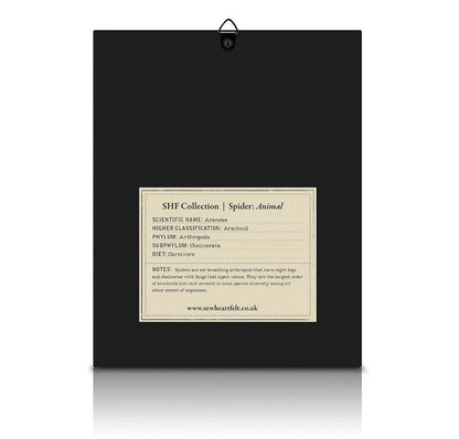 Framed Hand Embroidered Beaded Spider