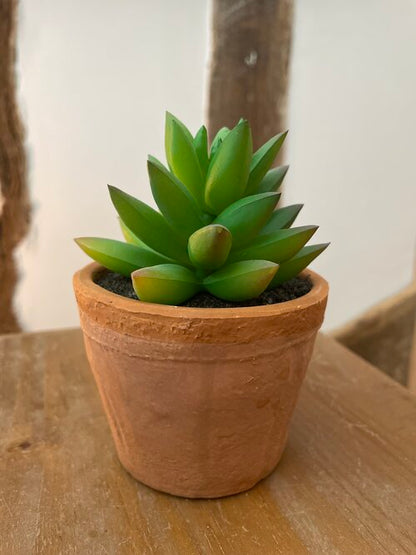 Faux Mini Succulent