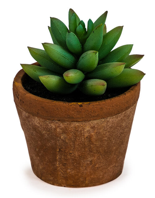 Faux Mini Succulent