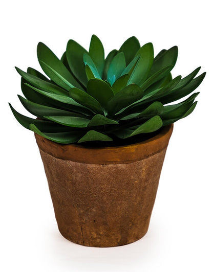 Faux Flat Leaf Succulent