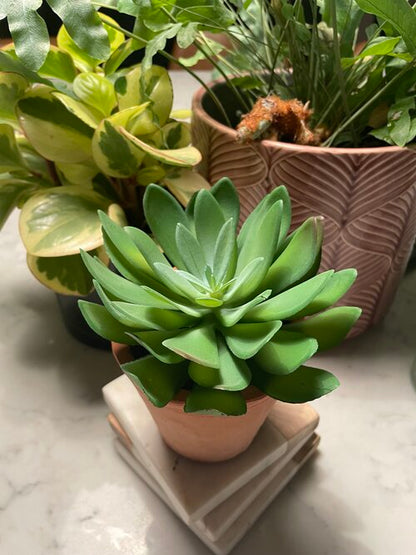 Faux Flat Leaf Succulent