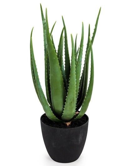Faux Aloe Vera Plant