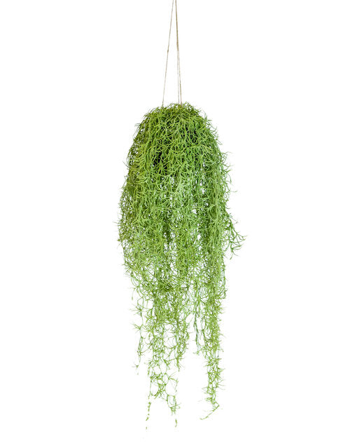 Faux Hanging Airplant Vine