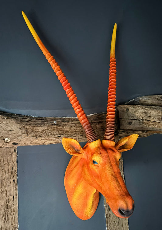 Wall Mounted Head - Andy The Antelope Orange