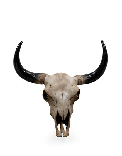 Wall Mounted Bison Head Skull Large