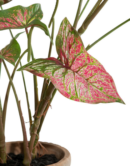 Faux Potted Caladium Plant