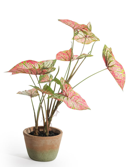 Faux Potted Caladium Plant