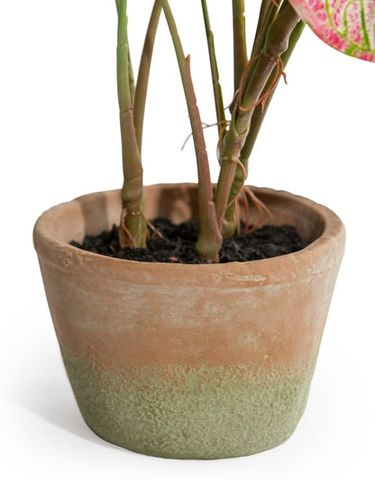 Faux Potted Caladium Plant