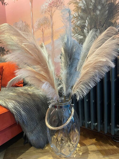 Grey Reed - 6 Stems