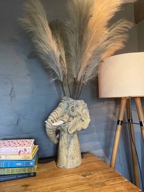 Grey Reed - 6 Stems