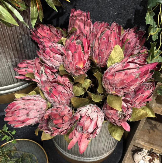 Faux Protea Stems - Set Of 3