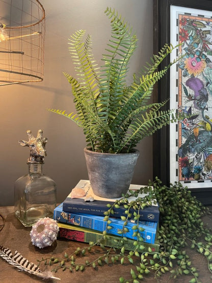 Faux Potted Fern - Grey Pot