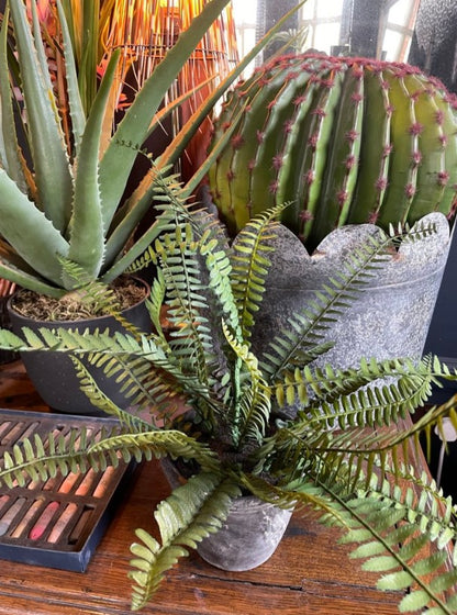 Faux Potted Fern - Grey Pot