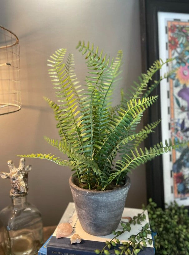 Faux Potted Fern - Grey Pot