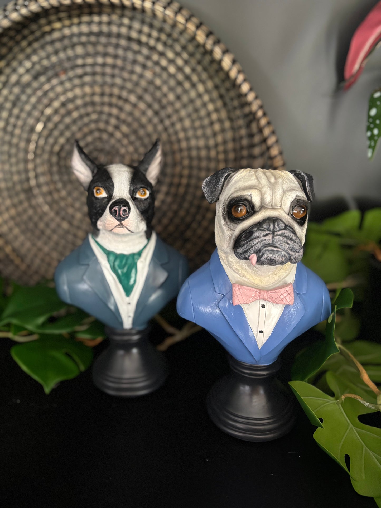 Suited Up Pug