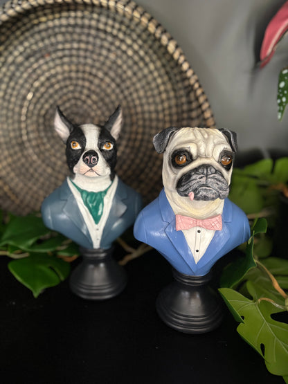 Suited Up Pug