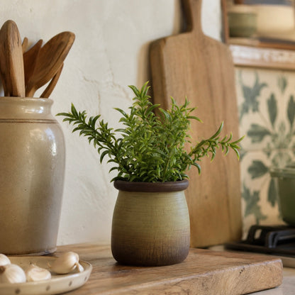 Small Faux Sedum Lineare in Green Pot