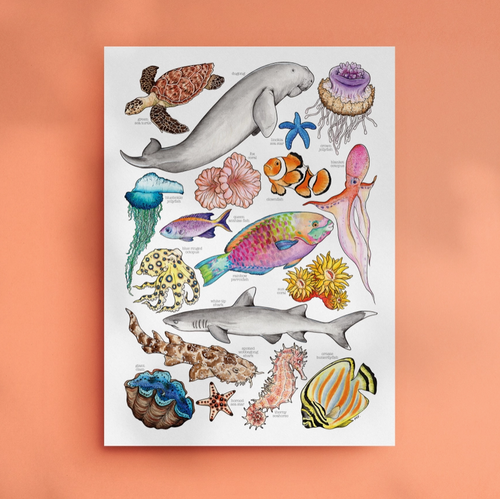 Print - A3 Great Barrier Reef