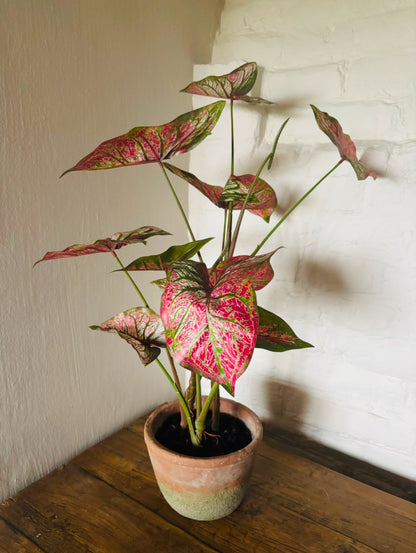 Faux Potted Caladium Plant