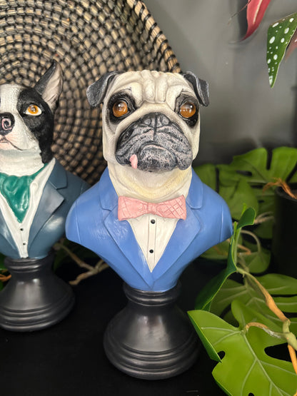 Suited Up Pug