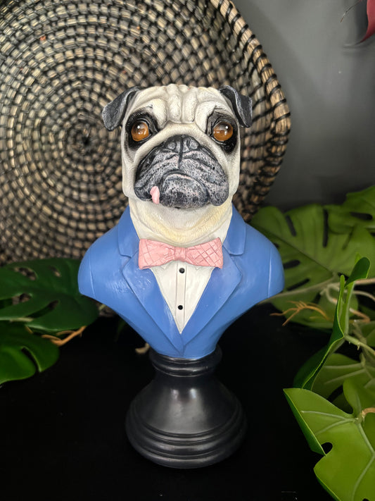 Suited Up Pug