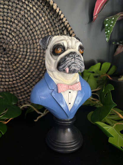 Suited Up Pug