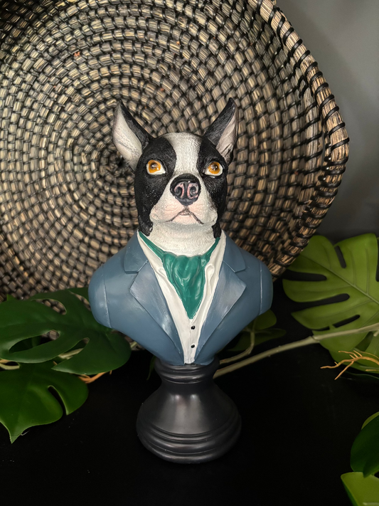 Suited Up Chihuahua