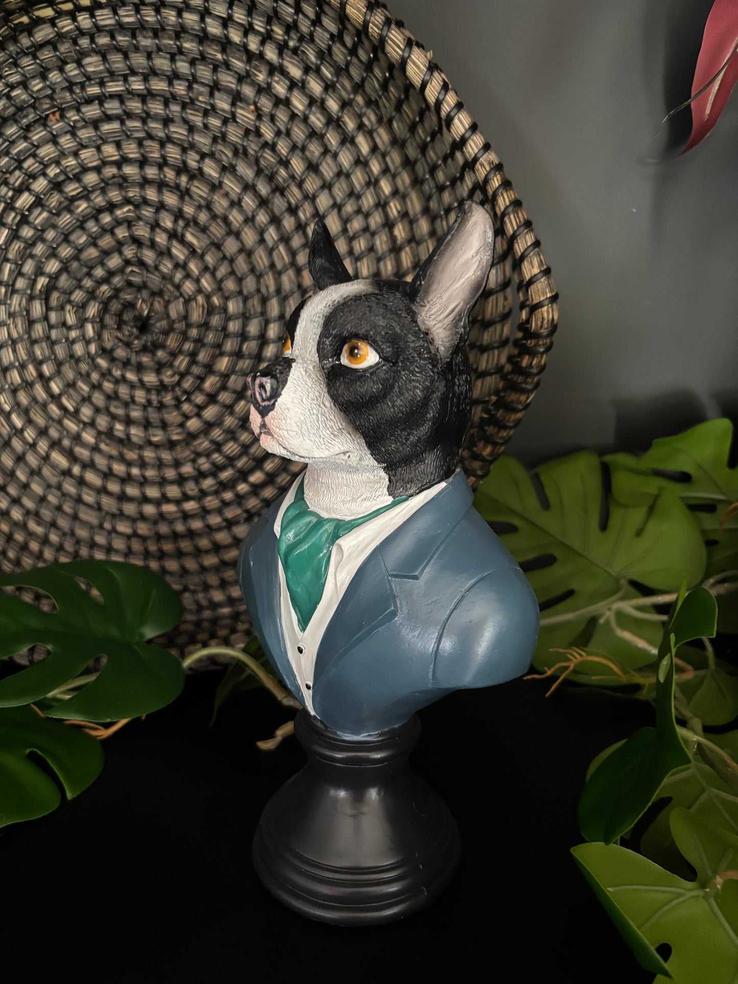 Suited Up Chihuahua
