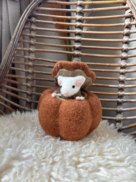 Felt Mouse In A Pumpkin