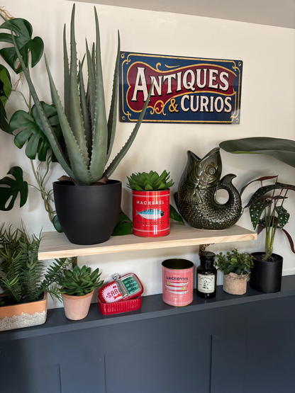 Large Fish Vase/Jug - Dark Green