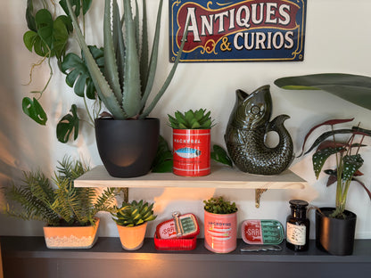 Large Fish Vase/Jug - Dark Green