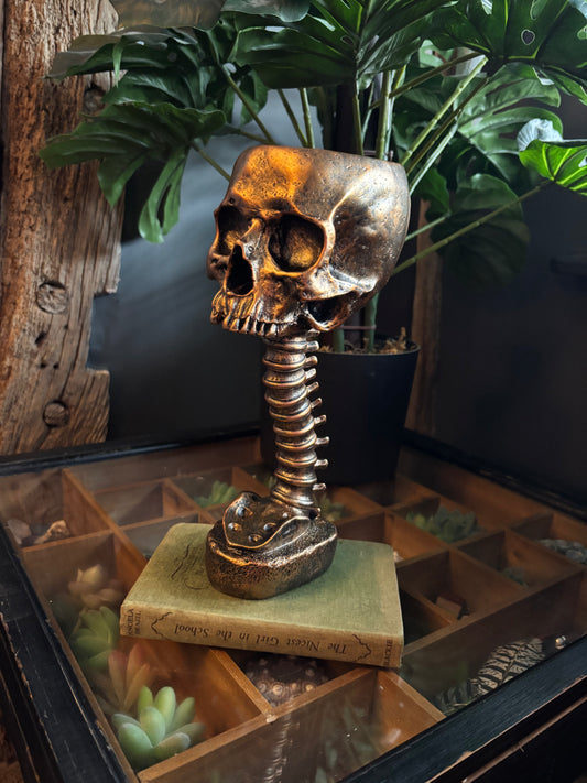 Skull And Back Bone Sculpture - Gold