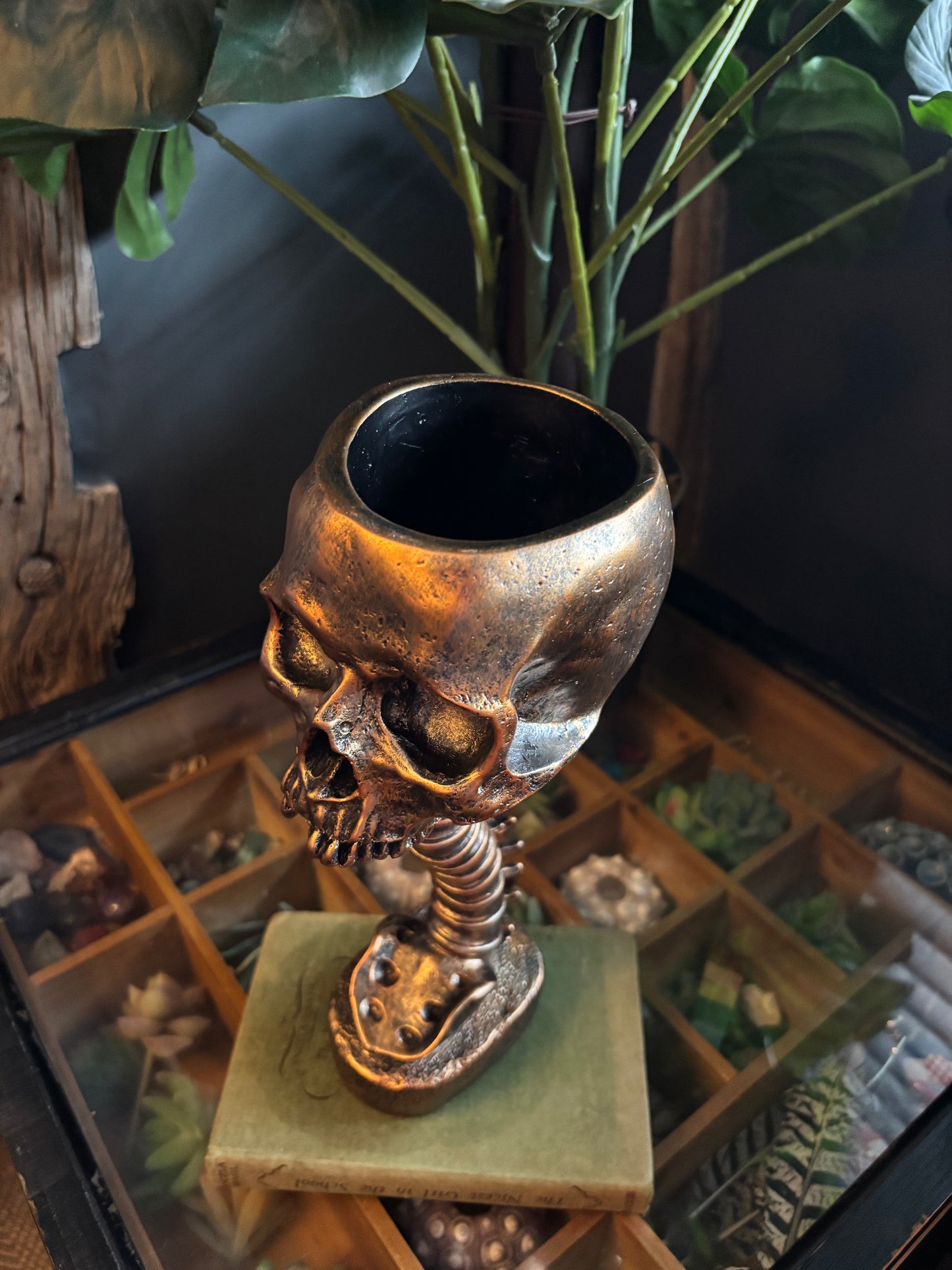 Skull And Back Bone Sculpture - Gold