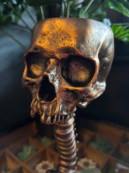 Skull And Back Bone Sculpture - Gold