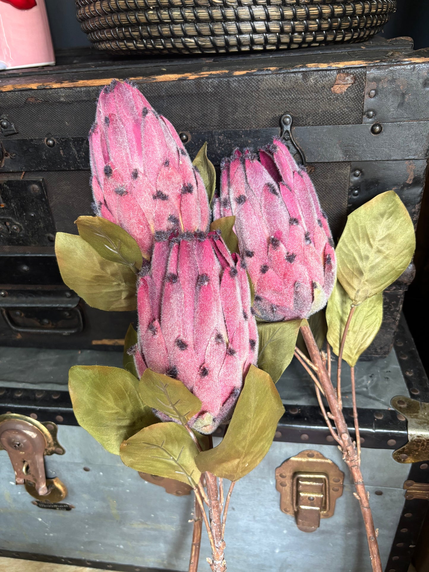 Faux Protea Stems - Set Of 3