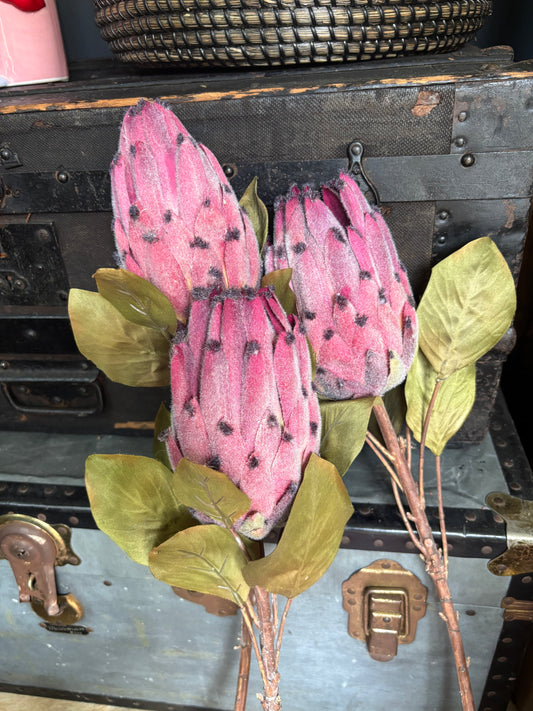 Faux Protea Stems - Set Of 3