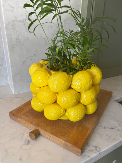 Ceramic Lemon Vase/Bowl