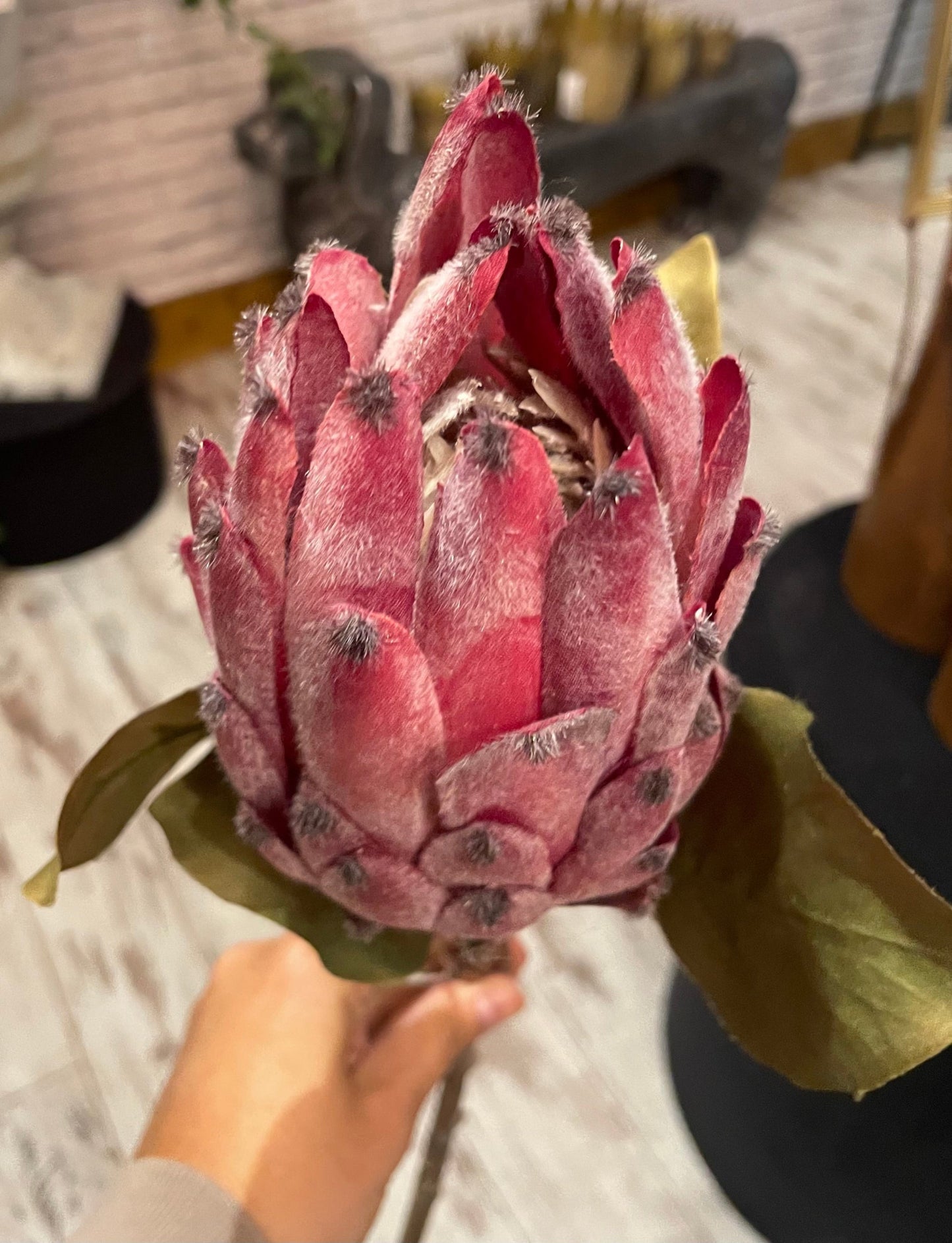 Faux Protea Stems - Set Of 3
