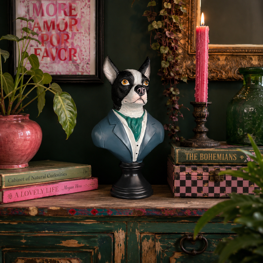 Suited Up Chihuahua